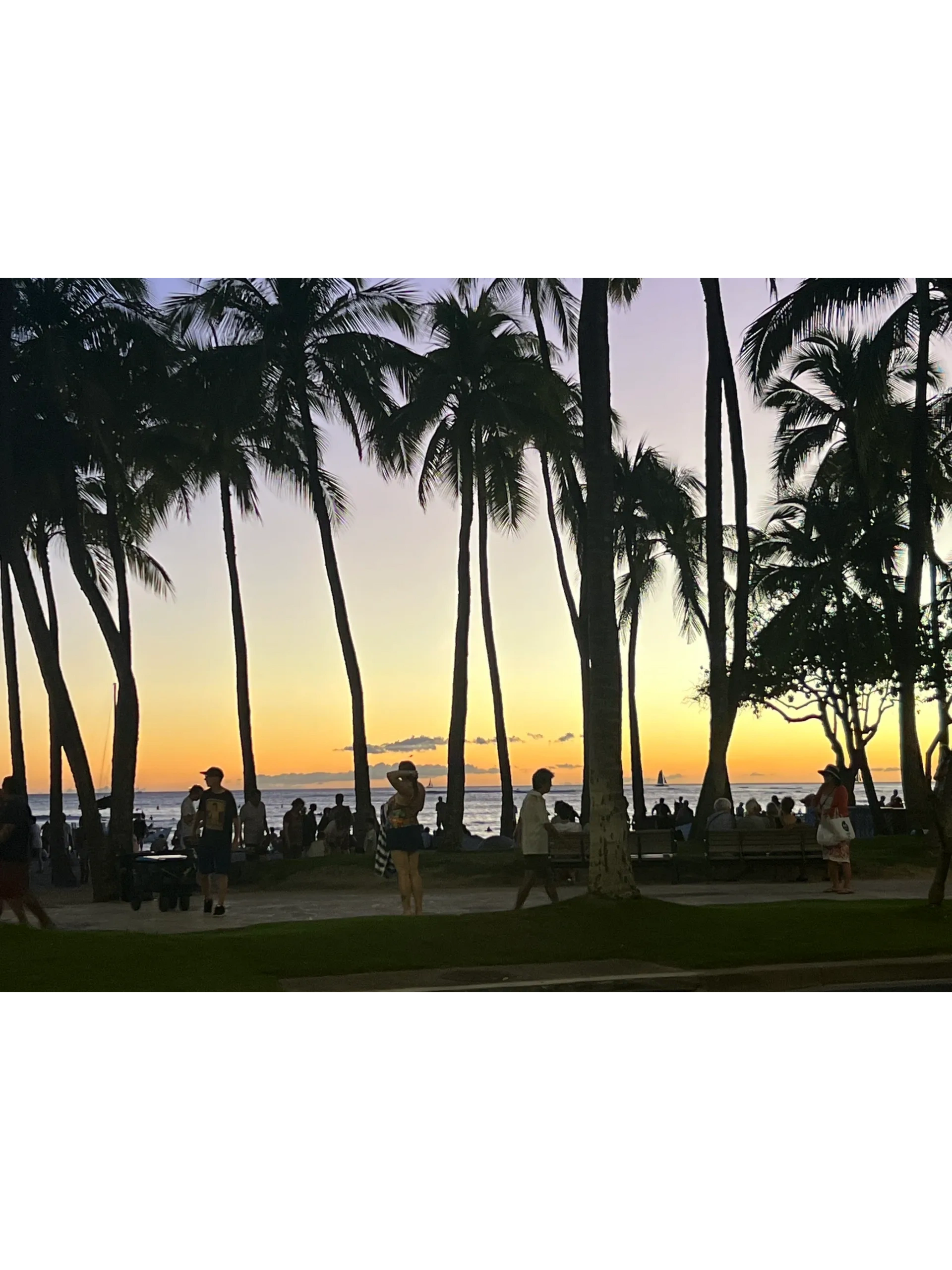 A Slice of Paradise: Vacationing at Waikiki Banyan in Hawaii